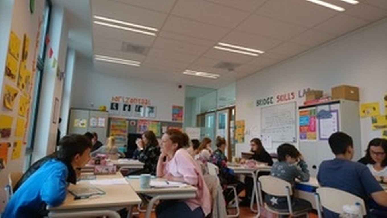 High Dosage Tutoring-SEPP (3)
