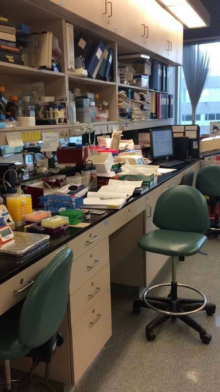 Werkplek Carolyn Moonen