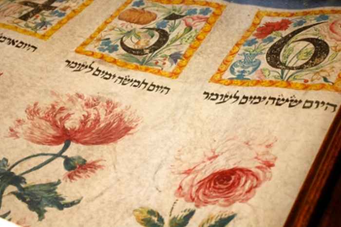 Omerrol uit Bibliotheca Rosenthaliana