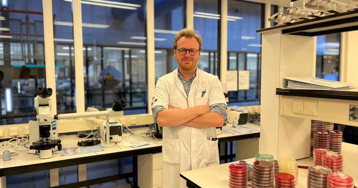 acute Nederlandse vertaling Linguee woordenboek