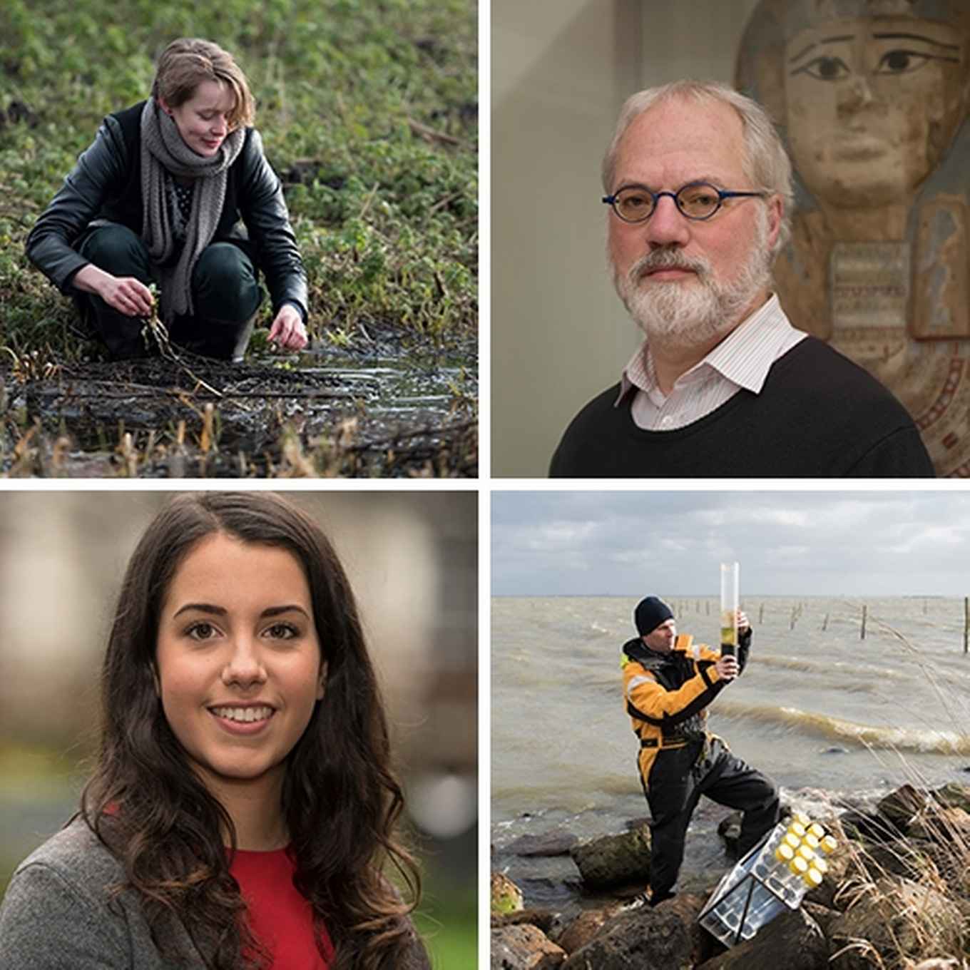 Doelen van het Jaarfonds 2016