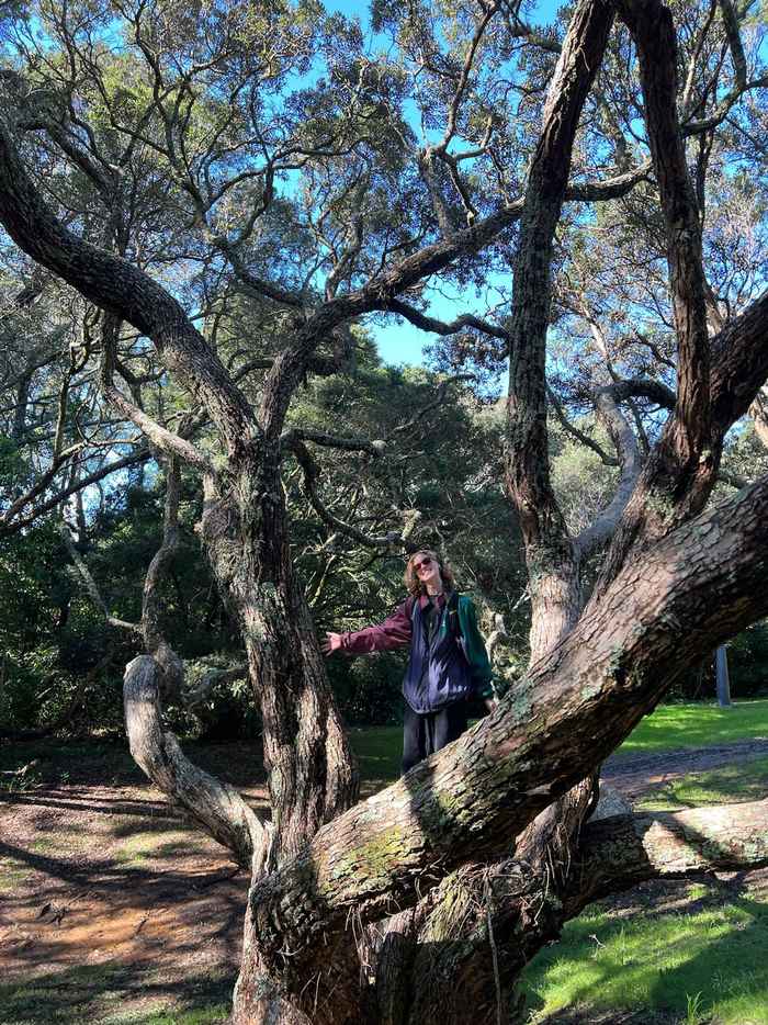 Virilla Snoek Universiteit van Auckland