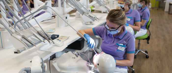 BA-studenten oefenen op fantoomhoofden (voordat ze patiënten mogen behandelen)